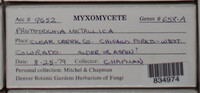 Image Associated With the Occurence